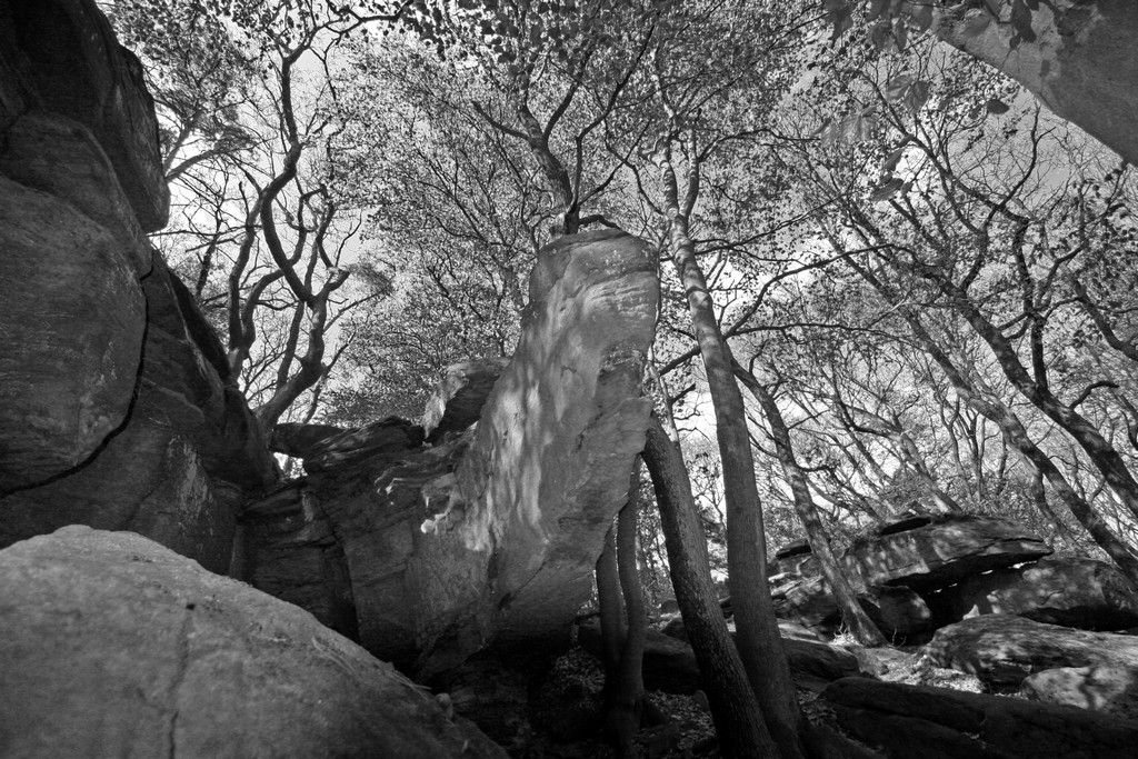 Kalmit- Felsenmeer Bouldern