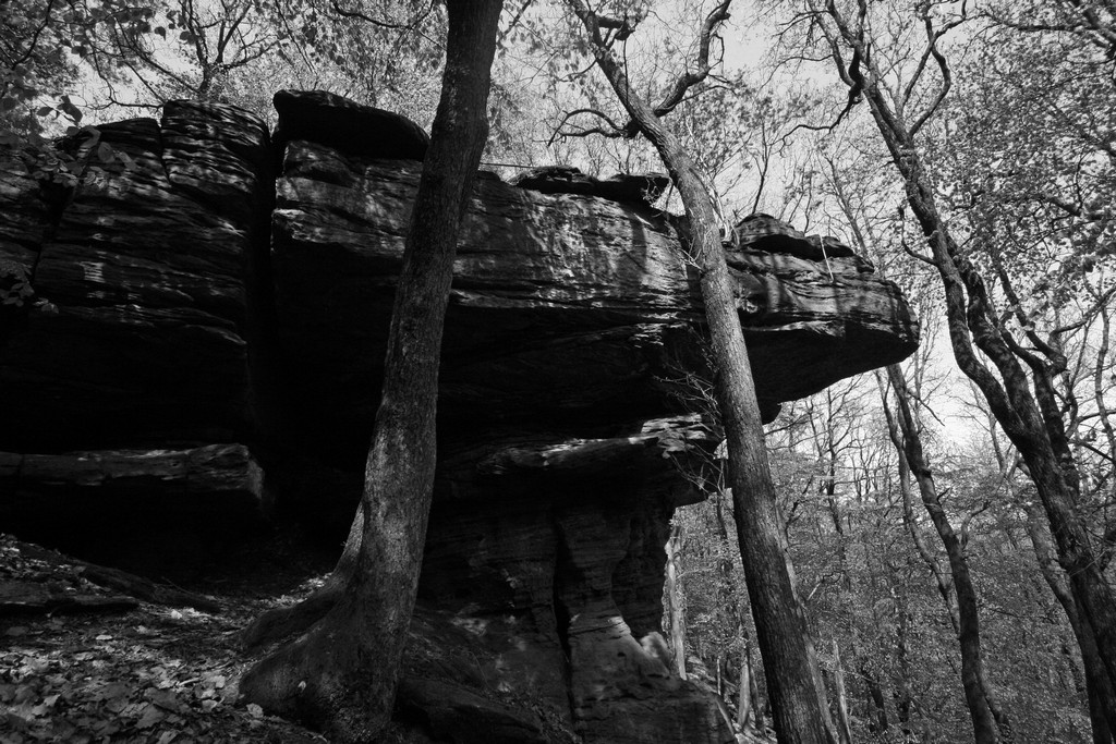 Kalmit- Felsenmeer Bouldern