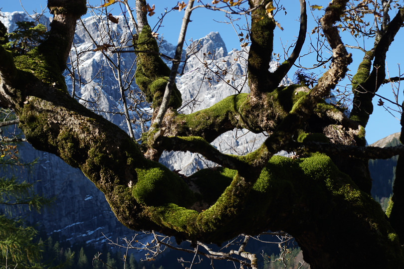 Karwendel Herbst