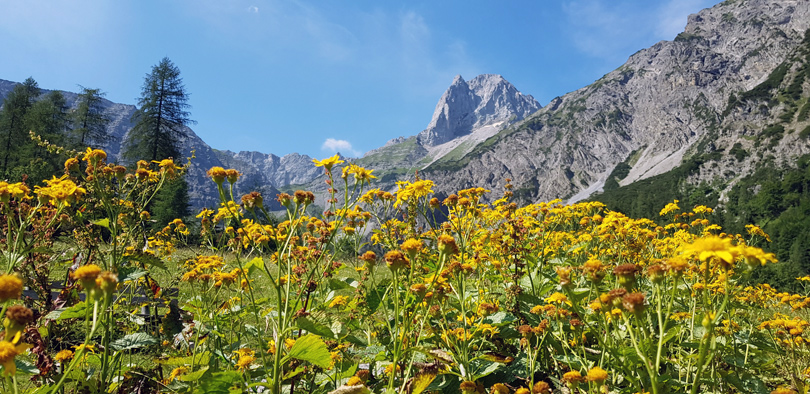 Lamsenspitze