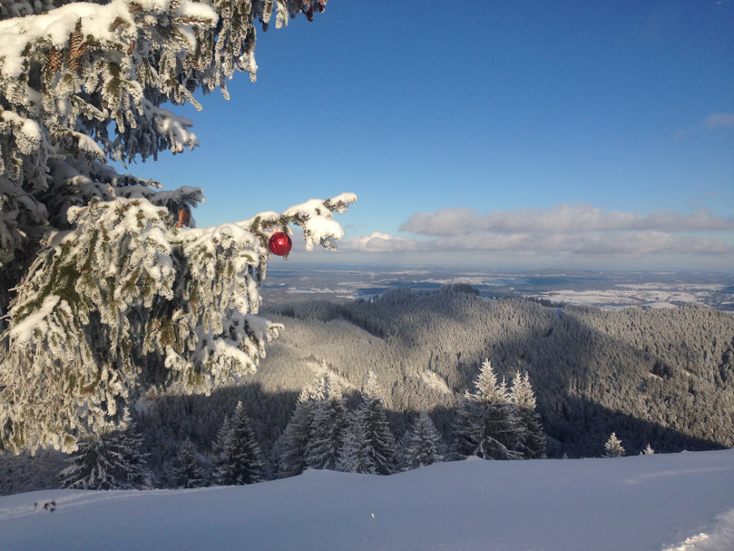 Schnee am Zwiesel