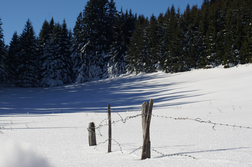 Wanderung vom Blomberghaus zum Zwiesel