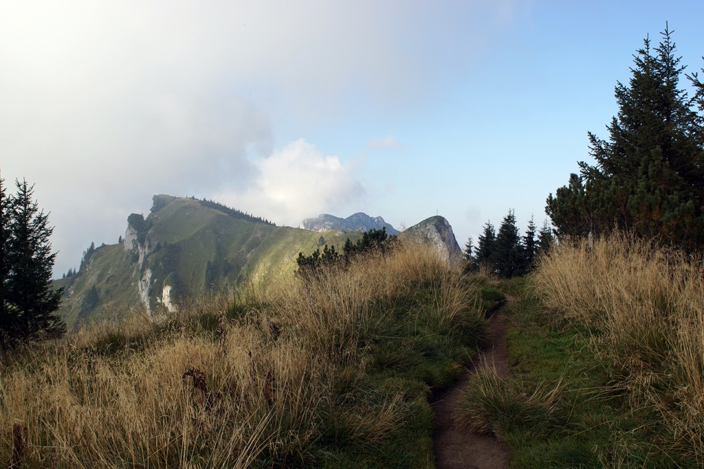 Latschenkopf