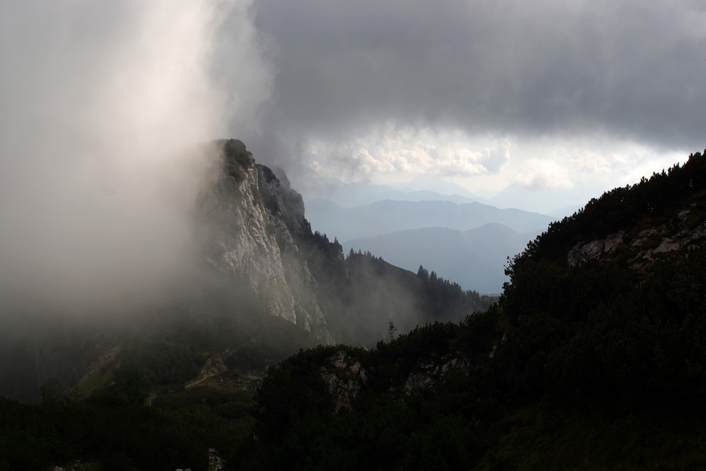 Achselköpfe im Nebel