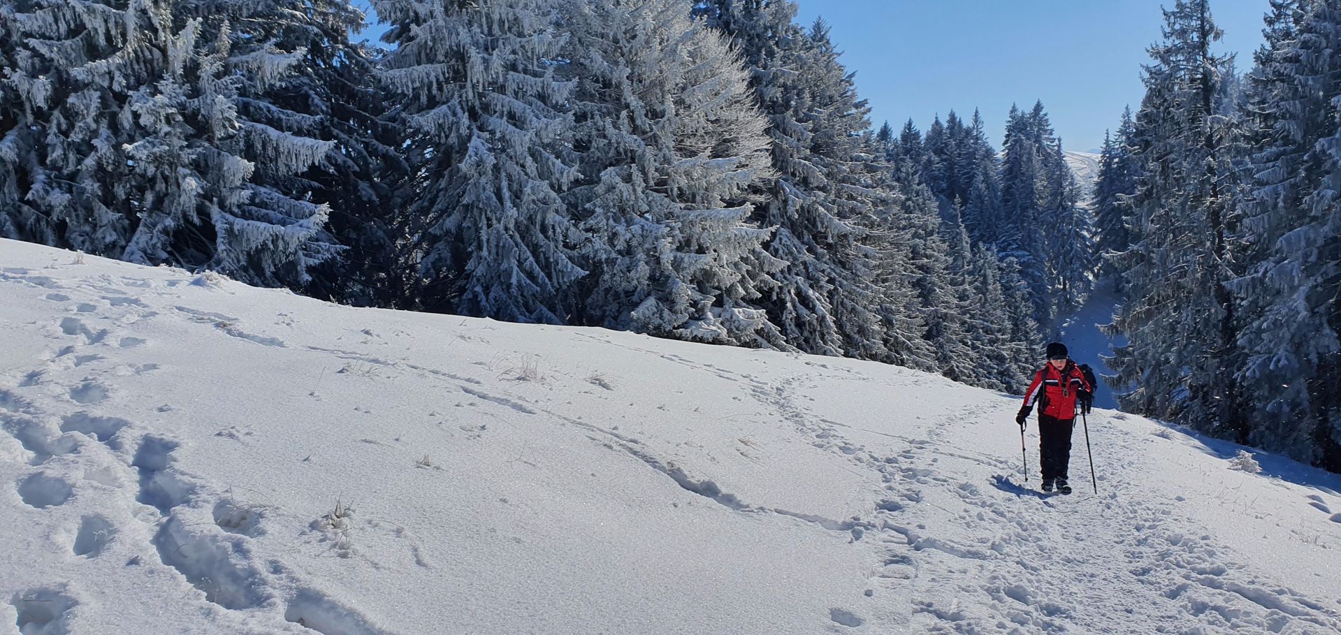 Heigelkopf Weg zum Blomberg