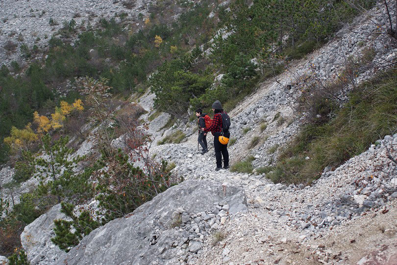 Cammino dei Dinosaur