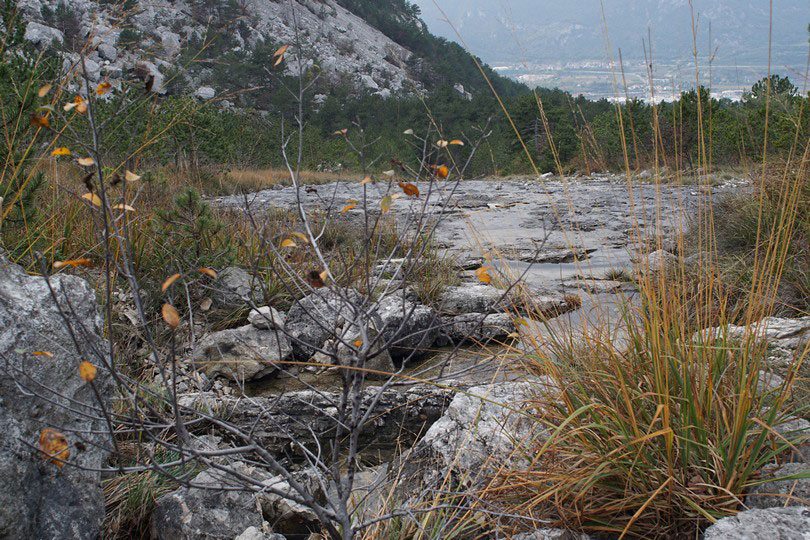 Der Cammino dei Dinosauri