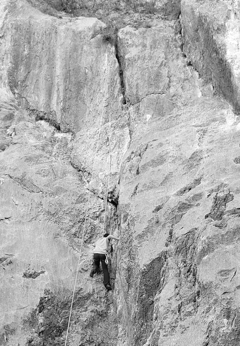 Cobras, 5a