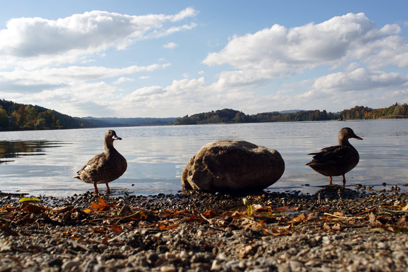 Murnau Staffelsee