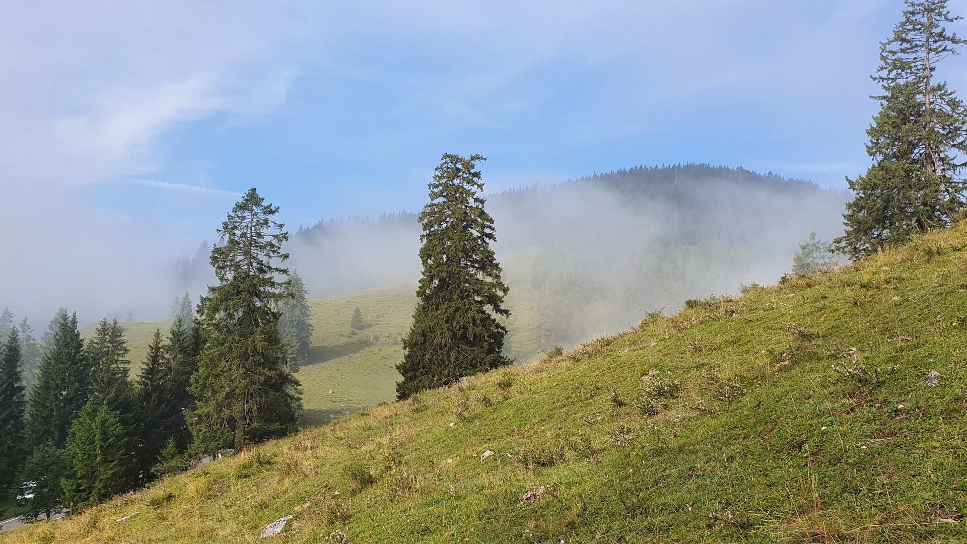 Wildalpjoch u. Käserwand