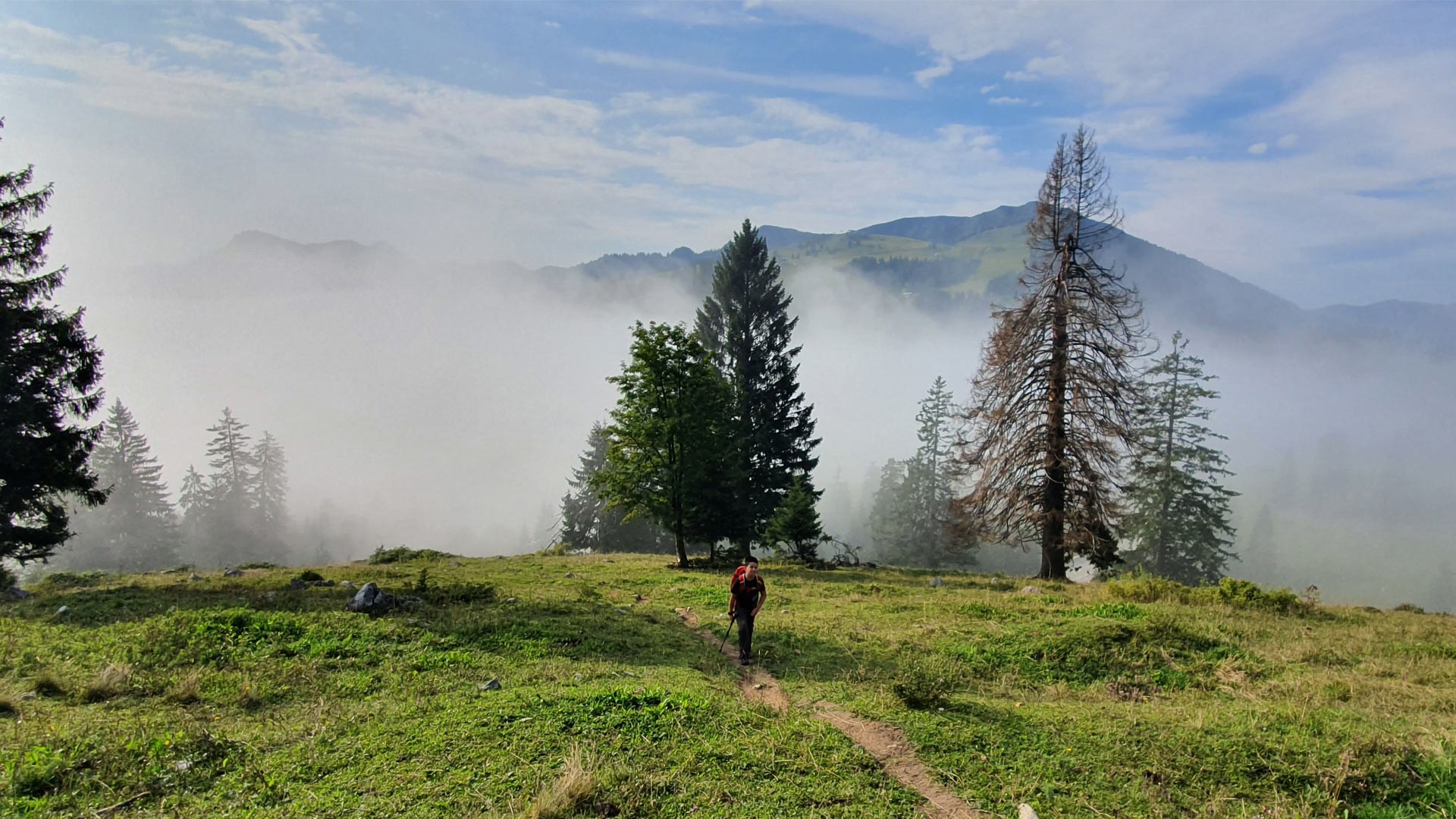 Wildalpjoch u. Käserwand