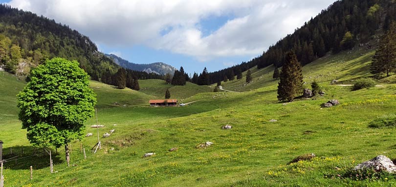 Kaserwand über Arzmoos