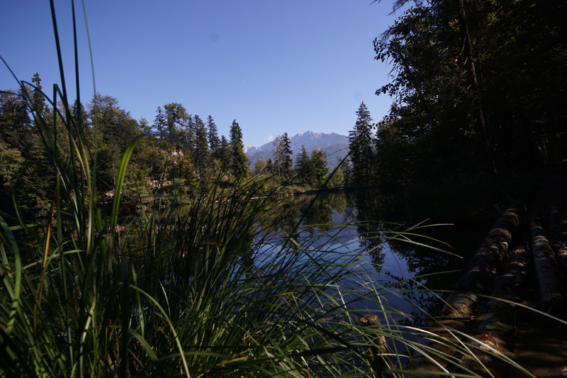 Frillensee 