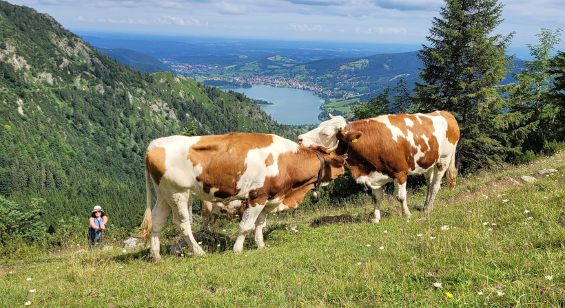 Auf der der Wanderung hat man eine tolle Aussicht auf die drei Seen Schliersee, Tegernsee und Spitzingsee.