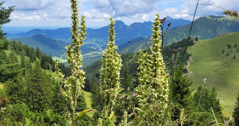 Blick rüber zum Wendelstein und den Aufstieg über den Nordgrad.