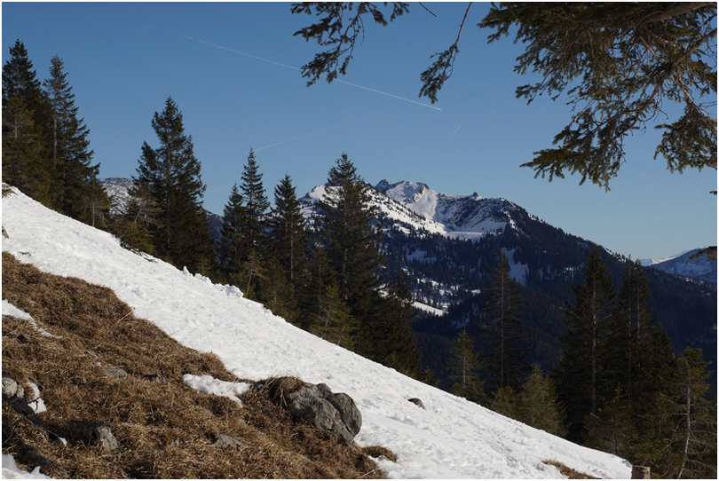 Brecherspitze 