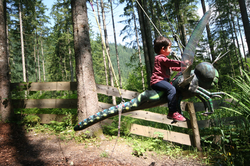 Urzeitwald am Gosausee