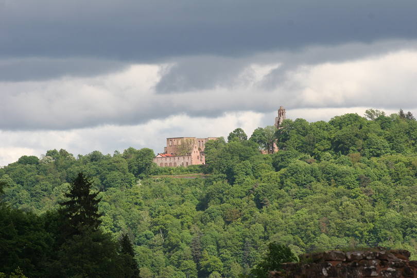 Klosterruine Limburg