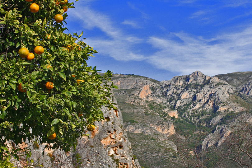 Orangenfelder und Kletterfelsen