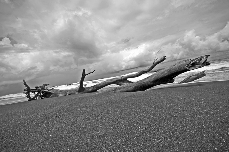 Costa Rica wild beach