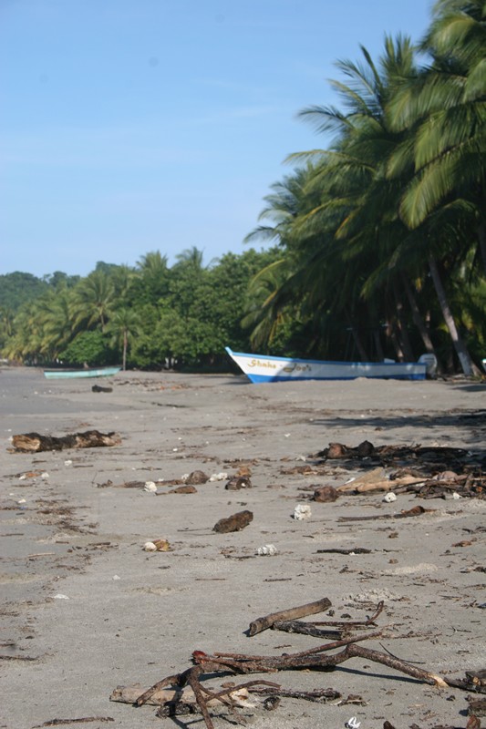 Costa Rica wild beach