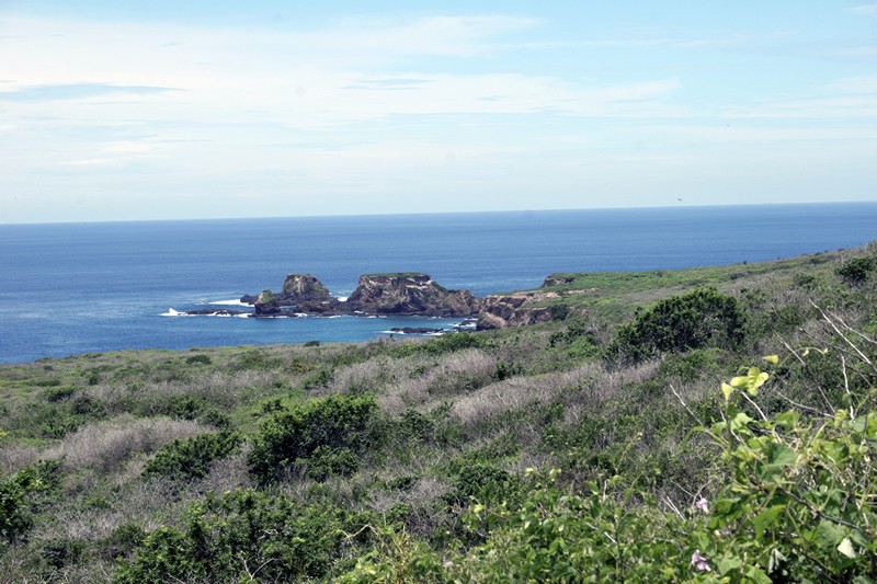 Insel mit Blick auf das Meer
