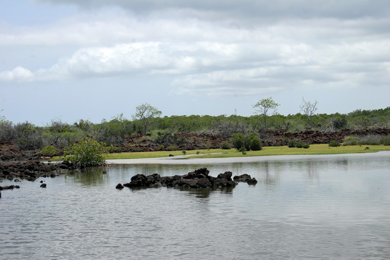 Galapagos