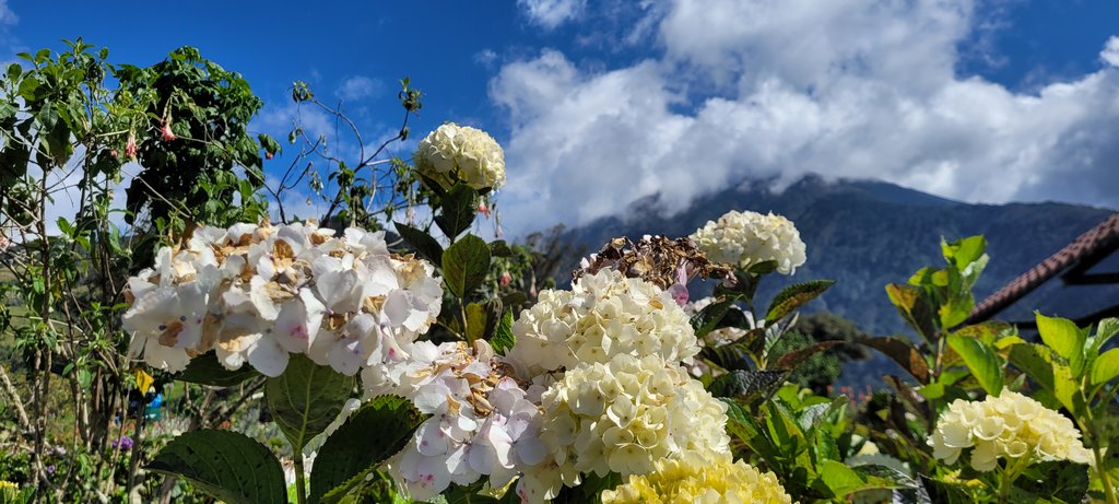 Baños Blumen Tungurahua