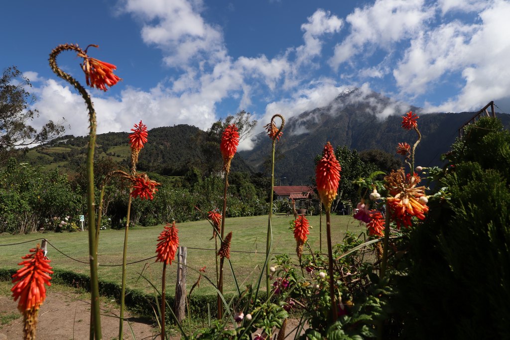 La Casa del Arbol- Tungurahua