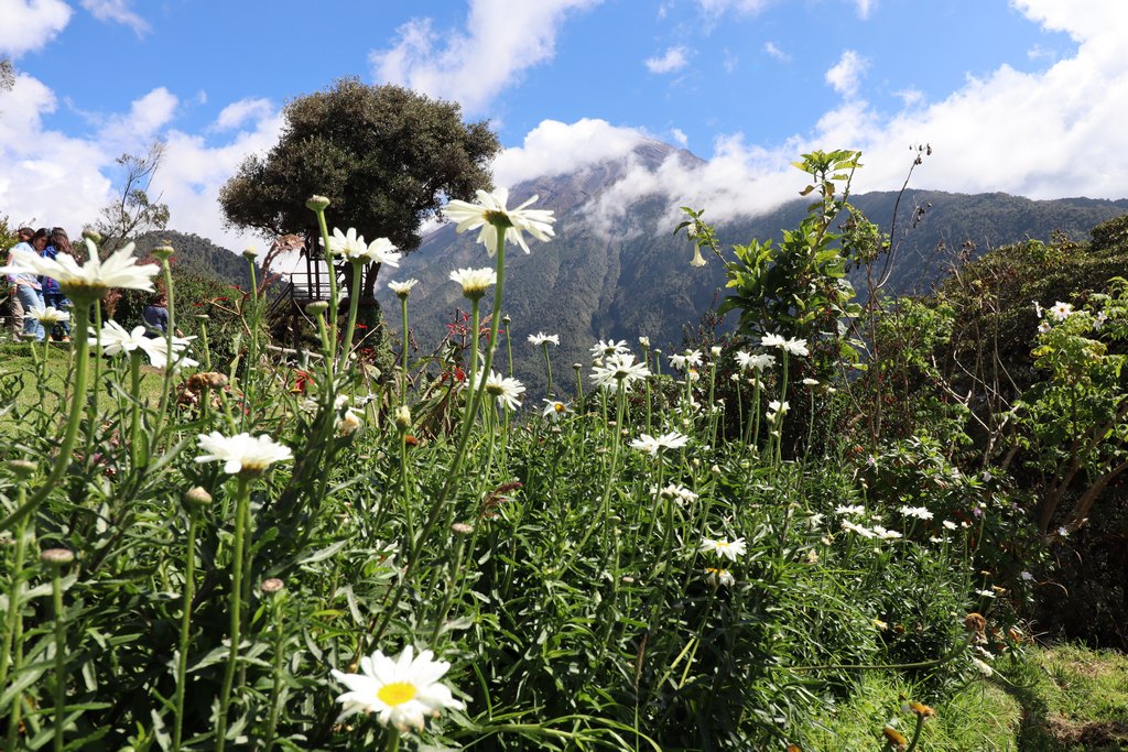 La Casa del Arbol- Tungurahua