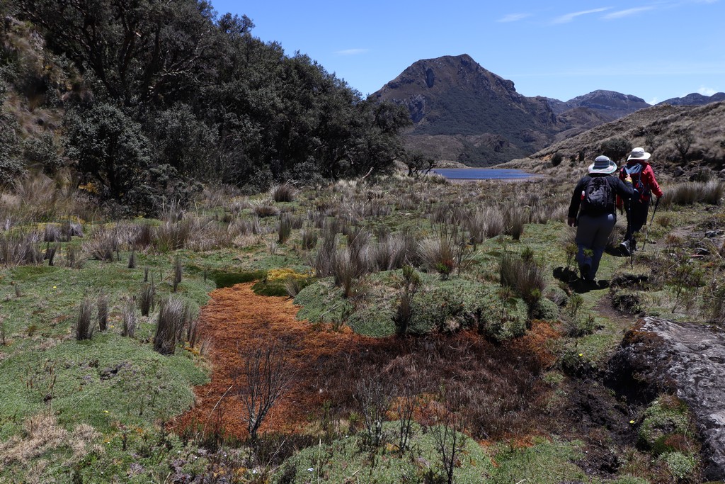 Nationalpark Cajas See Menschen  wandern am Ufer im Hintergrund Berg