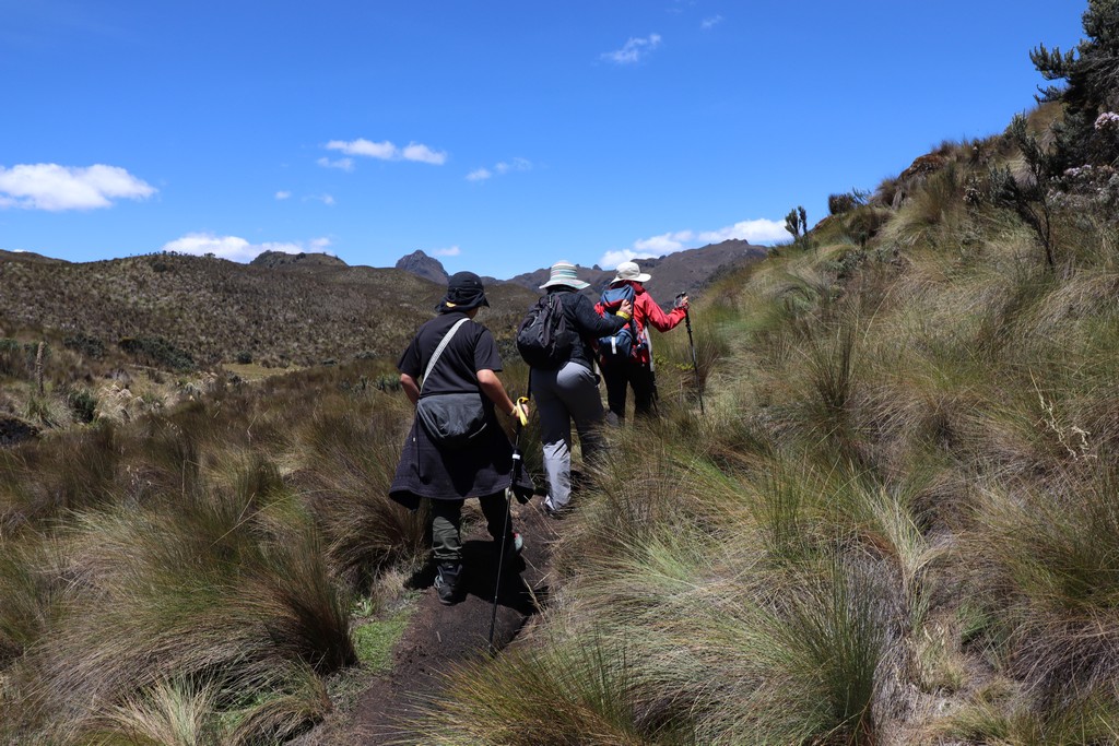 Nationalpark Cajas Menschen wandern durch Gräser