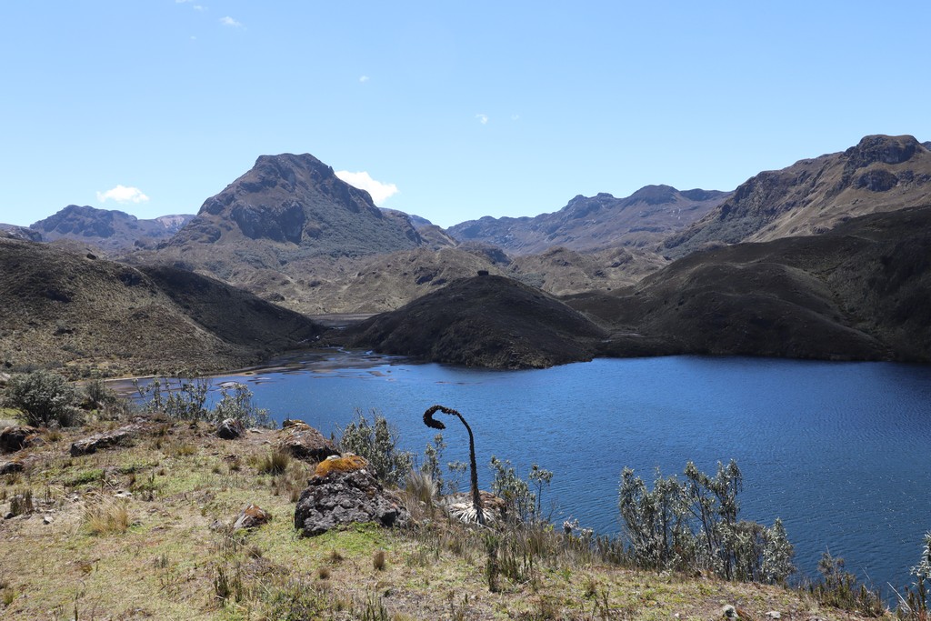 Nationalpark Cajas See