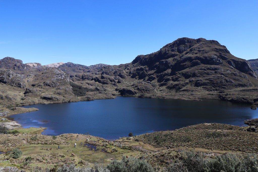 Nationalpark Cajas See