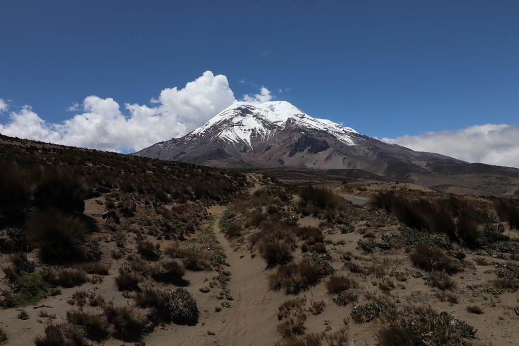 Wüstenartige Landschaft mit  schneebedecktem Chimborazo im Hintergrund.