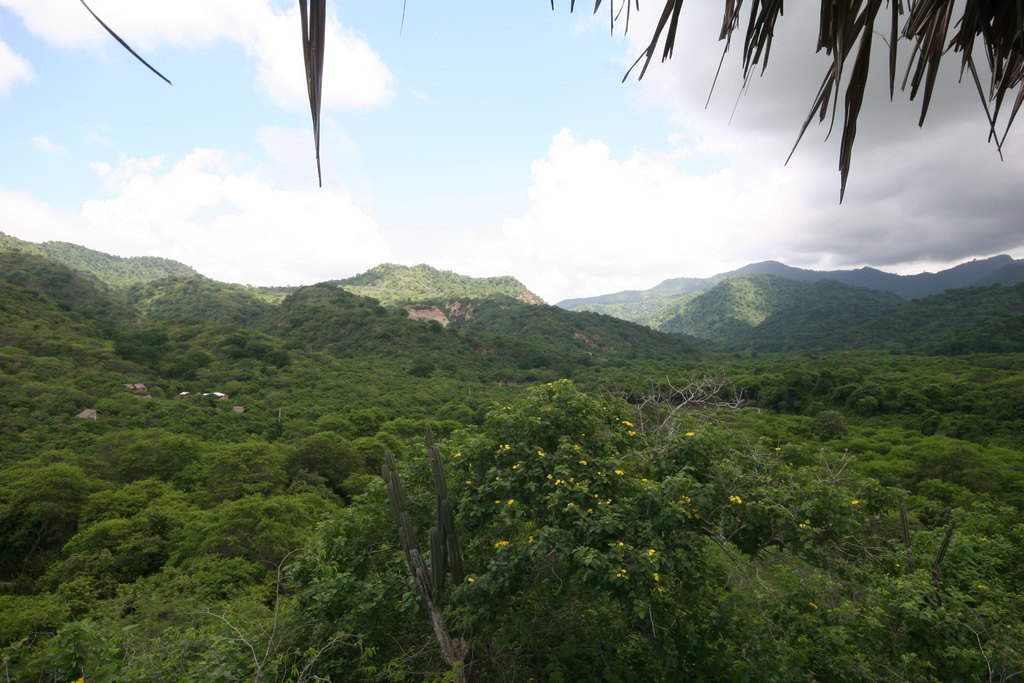 Agua Blanca Ausblick mit Hügeln und Wald