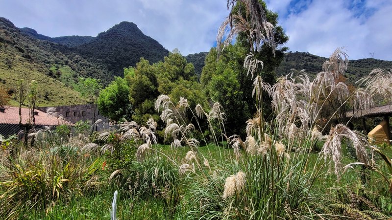 Termas de Papallacta Landschaft mit Bergen und Bäumen