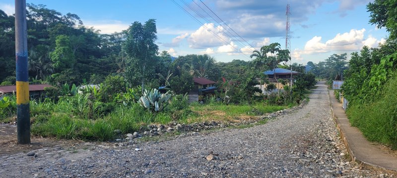 Dorf mit gärten, nichtasphaltierte Strasse aus Steinen