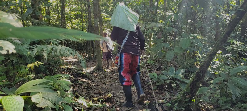 Menschen Wander auf schmahlen Pfad durch den Wald