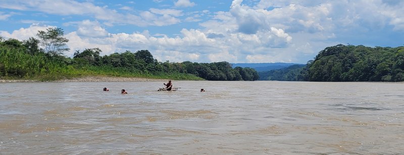 Floss und Menschen schwimmen neben dem Floos
