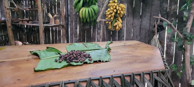 Gröstete Kakaobohnen aud einem Palmenblat liegend