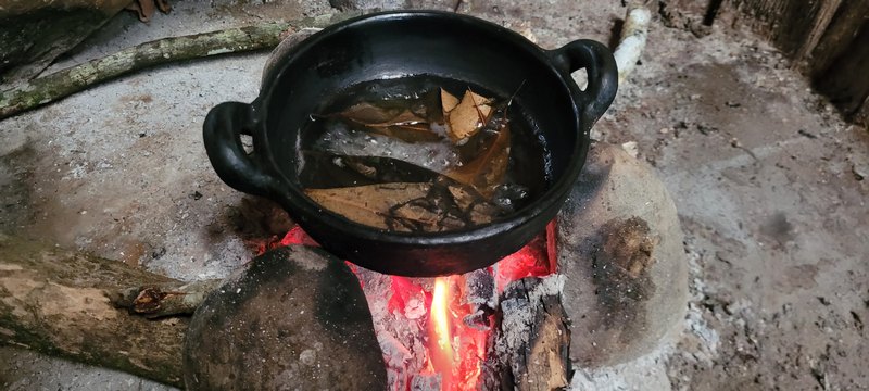 Topf mit Wasser und Blättern aud Holfeuerstelle