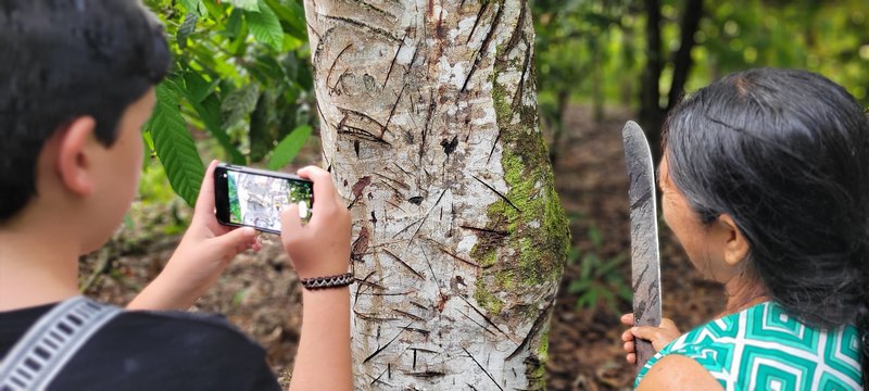 Frau mit Machete zeigt Baum mit Rizen zur gewinnung von Sangre de Drag