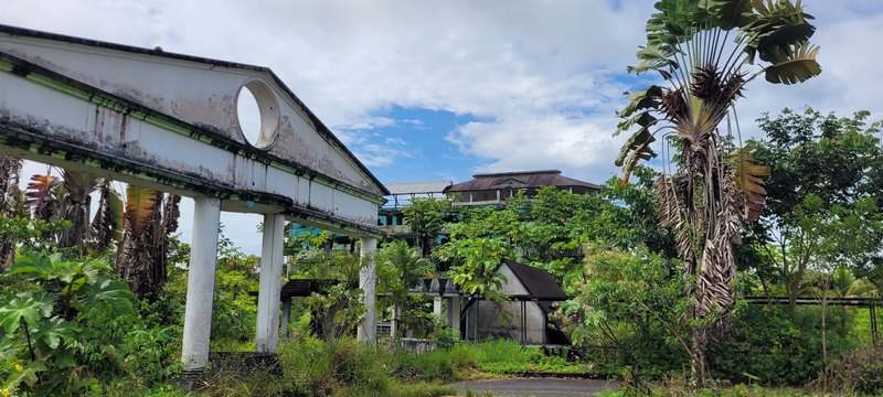 2023 von Menschen verlassen, hat sich die Natur das Gebäude zurückgeholt. #LostPlace
