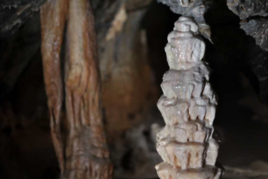 Grotte di Toirano Tropfsteine