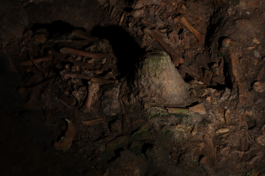 Grotte di Toirano Tropfsteine