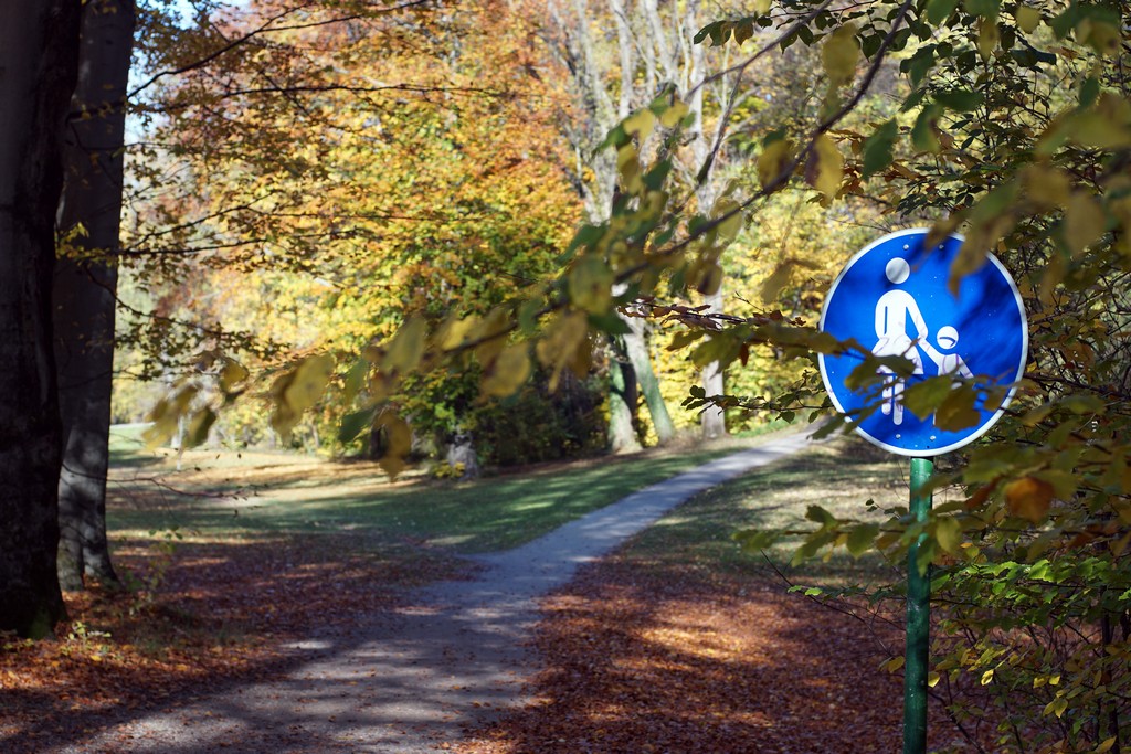 Englischer Garten im Herbst