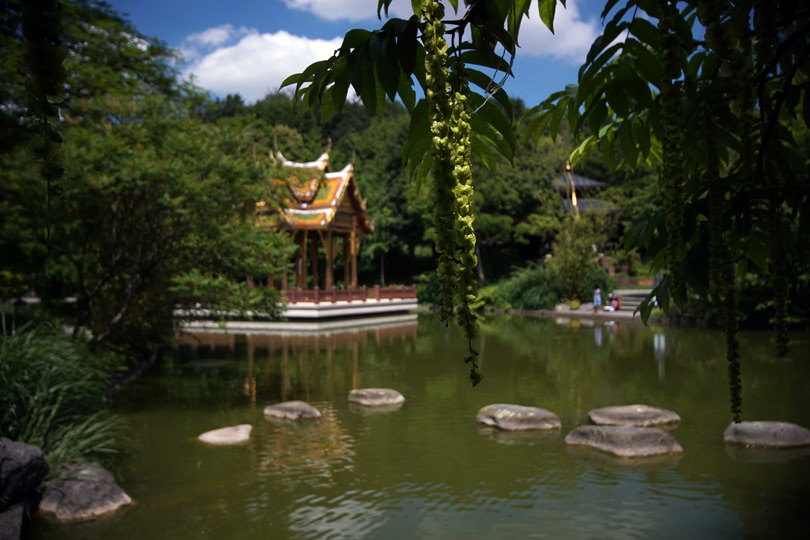 Westpark japanischer Garten