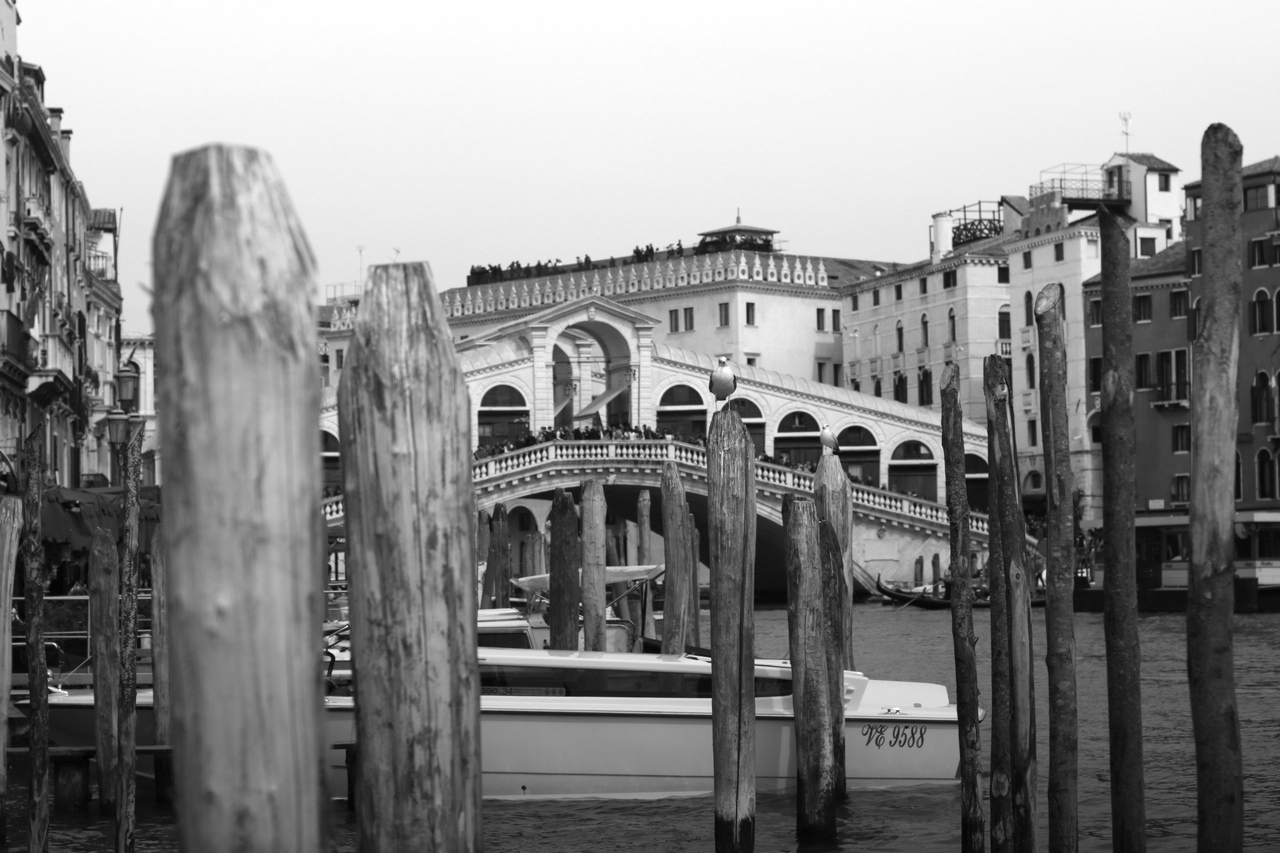 Rialto Brücke