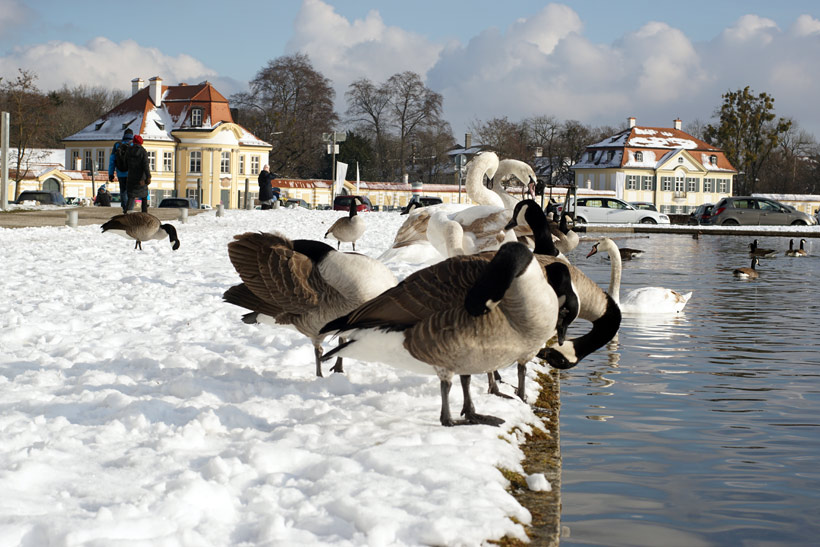 Nymphenburg Winter